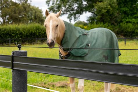 horse electric fence box|battery for electric fencing horses.